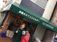 保護犬カフェシェルターGUARDIANの画像