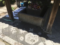JR東海キャンペーン企画【花と水の京都】レインアート制作の画像