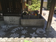 JR東海キャンペーン企画【花と水の京都】レインアート制作の画像