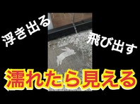 【レインアート】インスタ映え必須の新感覚フォトジェニックアート動画アップの画像