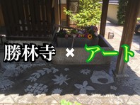 京都勝林寺に打ち水で現れる魔法のレインアート誕生動画アップの画像